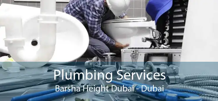 Plumbing Services Barsha Height Dubai - Dubai