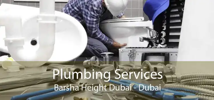 Plumbing Services Barsha Height Dubai - Dubai