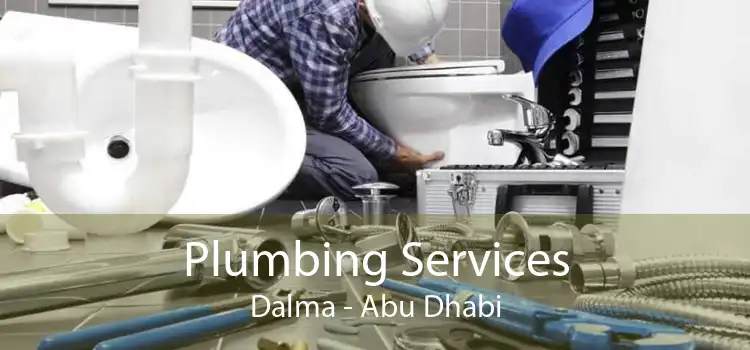 Plumbing Services Dalma - Abu Dhabi