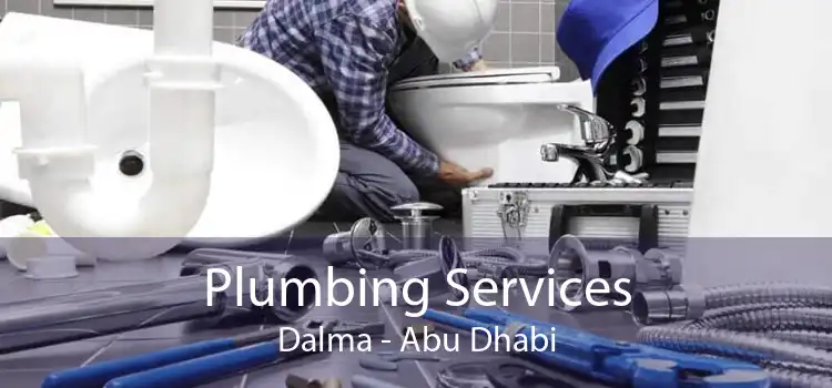 Plumbing Services Dalma - Abu Dhabi