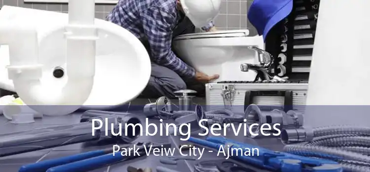 Plumbing Services Park Veiw City - Ajman