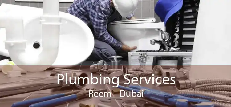 Plumbing Services Reem - Dubai
