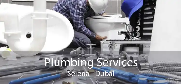 Plumbing Services Serena - Dubai