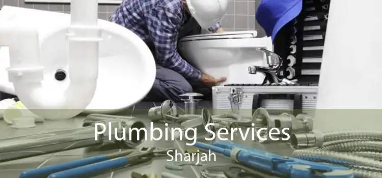 Plumbing Services Sharjah