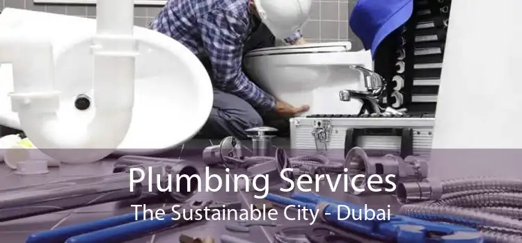 Plumbing Services The Sustainable City - Dubai