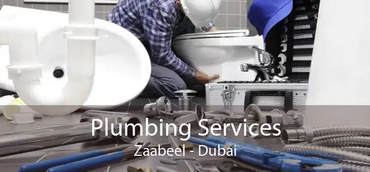 Plumbing Services Zaabeel - Dubai