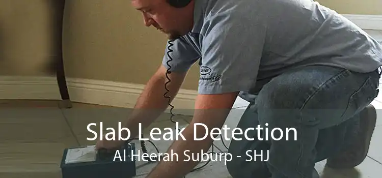 Slab Leak Detection Al Heerah Suburp - SHJ