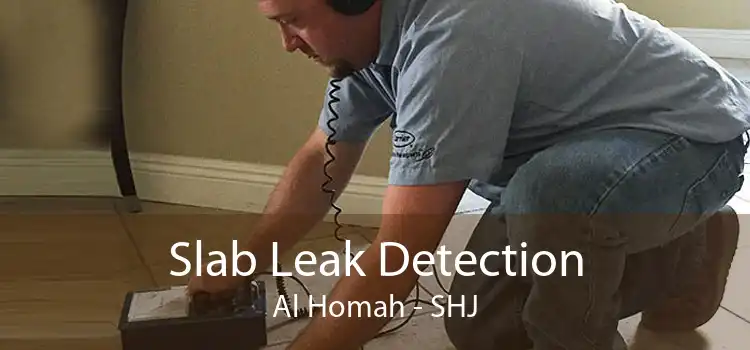 Slab Leak Detection Al Homah - SHJ