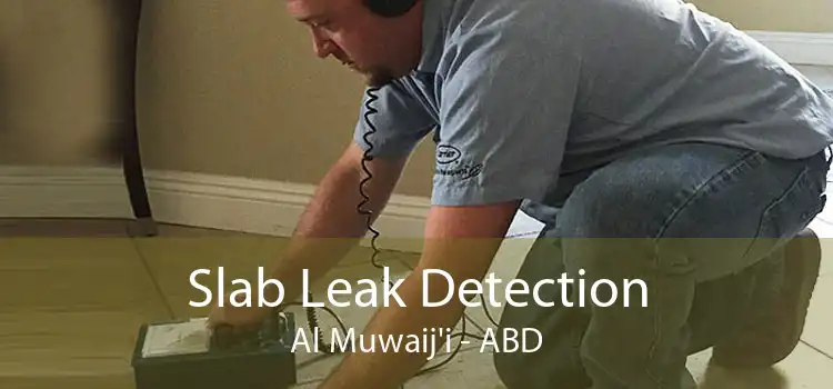 Slab Leak Detection Al Muwaij'i - ABD