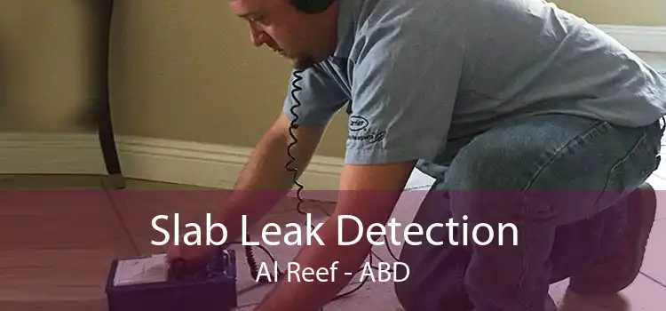 Slab Leak Detection Al Reef - ABD