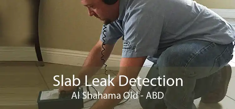 Slab Leak Detection Al Shahama Old - ABD