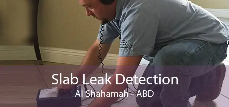 Slab Leak Detection Al Shahamah - ABD