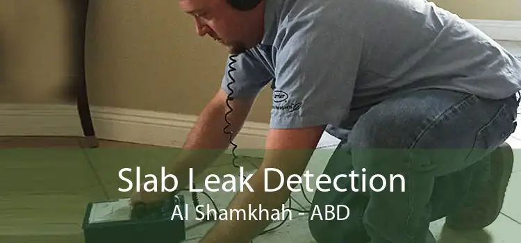 Slab Leak Detection Al Shamkhah - ABD