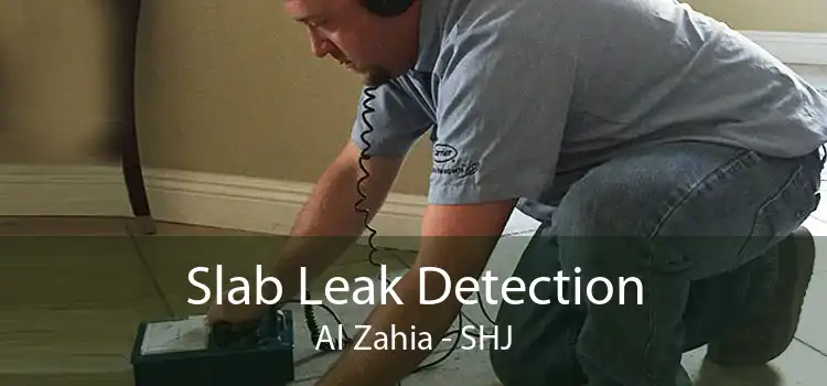 Slab Leak Detection Al Zahia - SHJ