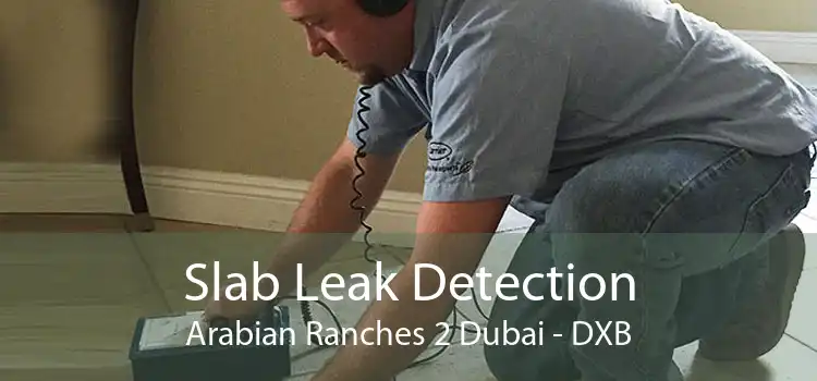 Slab Leak Detection Arabian Ranches 2 Dubai - DXB