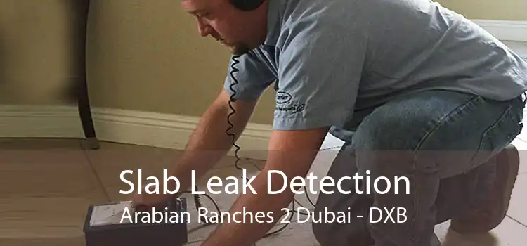 Slab Leak Detection Arabian Ranches 2 Dubai - DXB