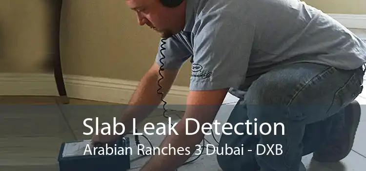 Slab Leak Detection Arabian Ranches 3 Dubai - DXB