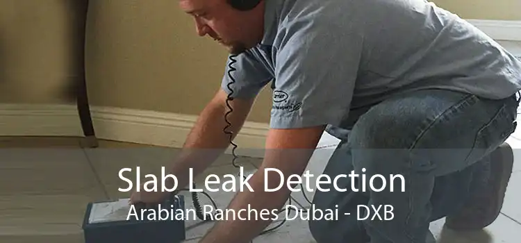 Slab Leak Detection Arabian Ranches Dubai - DXB