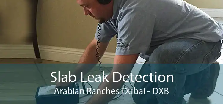 Slab Leak Detection Arabian Ranches Dubai - DXB