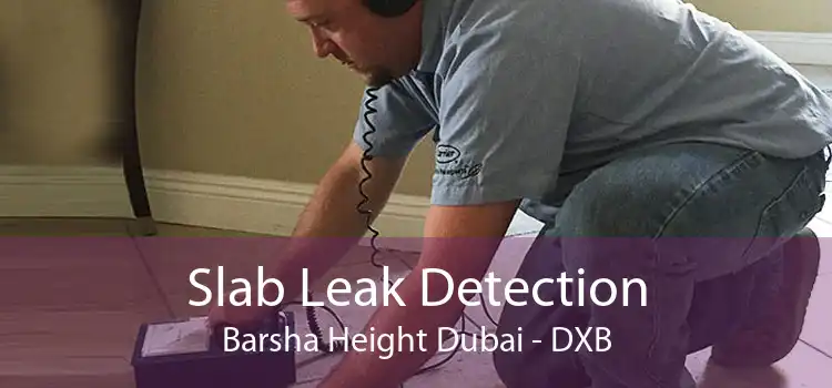 Slab Leak Detection Barsha Height Dubai - DXB