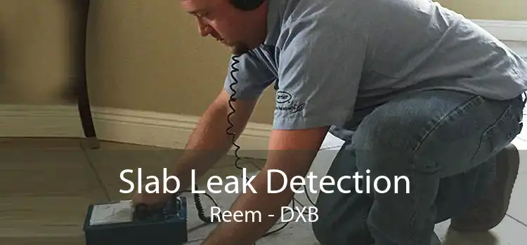 Slab Leak Detection Reem - DXB