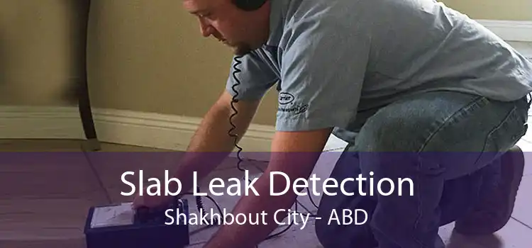Slab Leak Detection Shakhbout City - ABD