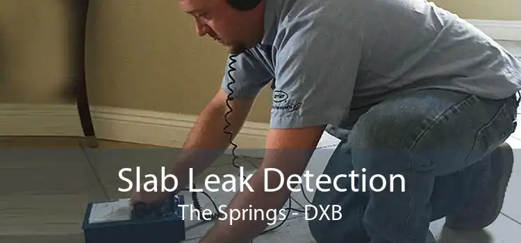 Slab Leak Detection The Springs - DXB