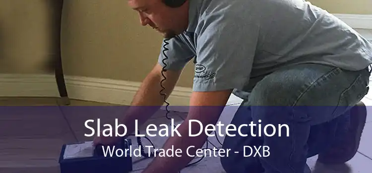 Slab Leak Detection World Trade Center - DXB