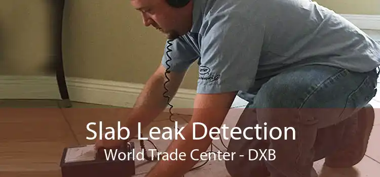 Slab Leak Detection World Trade Center - DXB