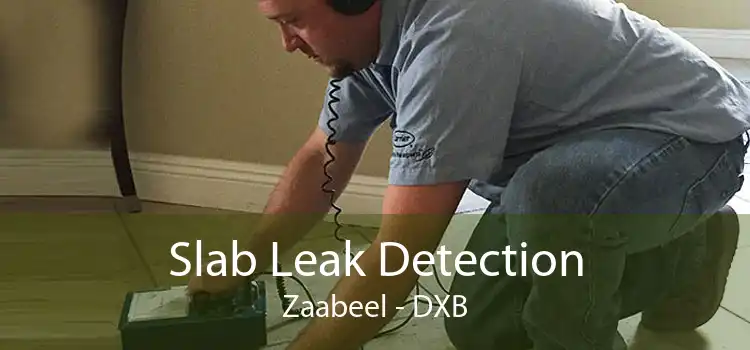 Slab Leak Detection Zaabeel - DXB