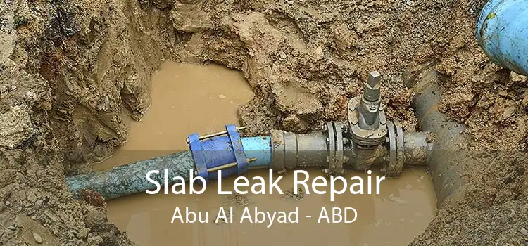 Slab Leak Repair Abu Al Abyad - ABD