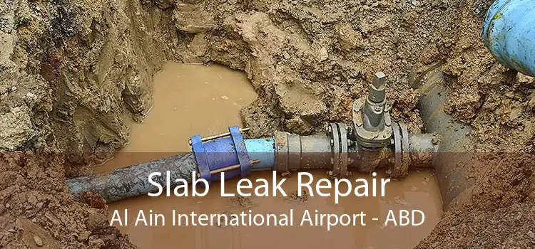 Slab Leak Repair Al Ain International Airport - ABD