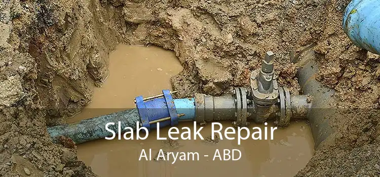 Slab Leak Repair Al Aryam - ABD