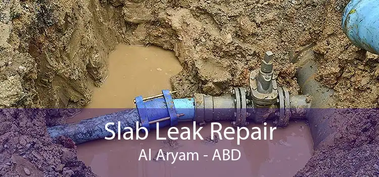 Slab Leak Repair Al Aryam - ABD