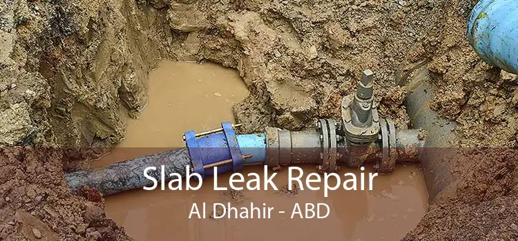 Slab Leak Repair Al Dhahir - ABD