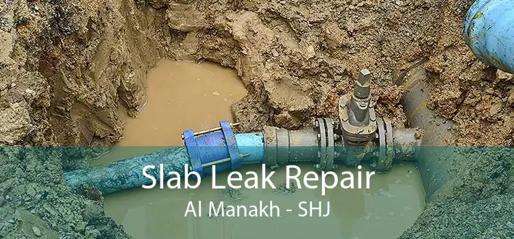 Slab Leak Repair Al Manakh - SHJ