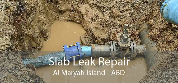Slab Leak Repair Al Maryah Island - ABD