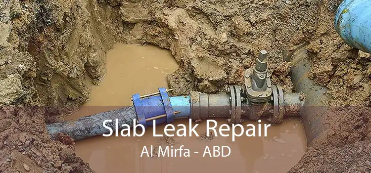 Slab Leak Repair Al Mirfa - ABD