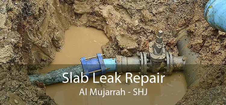 Slab Leak Repair Al Mujarrah - SHJ