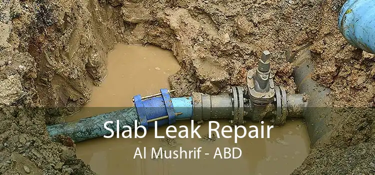 Slab Leak Repair Al Mushrif - ABD