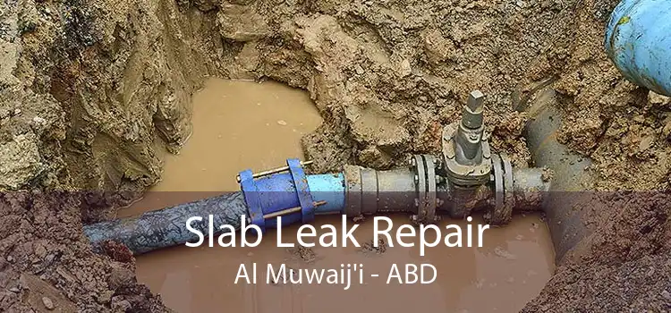Slab Leak Repair Al Muwaij'i - ABD