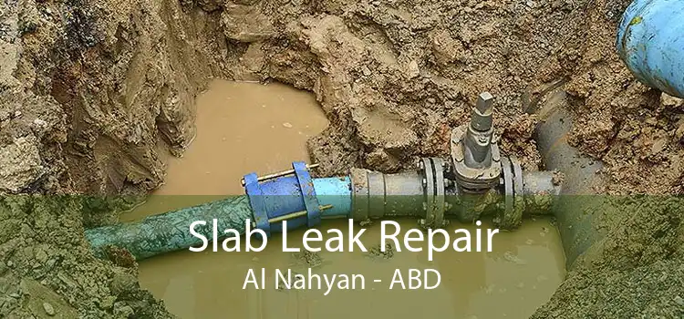 Slab Leak Repair Al Nahyan - ABD