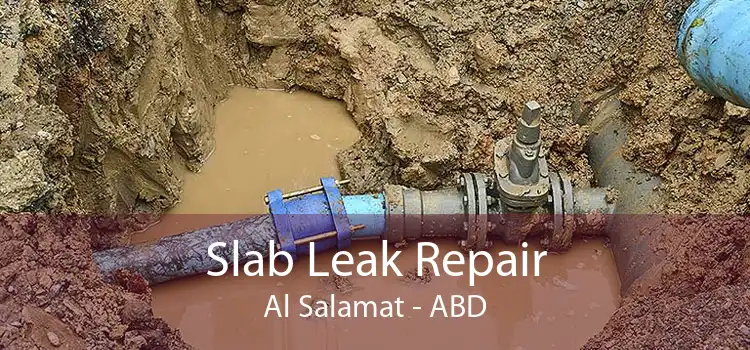 Slab Leak Repair Al Salamat - ABD