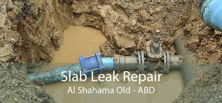 Slab Leak Repair Al Shahama Old - ABD