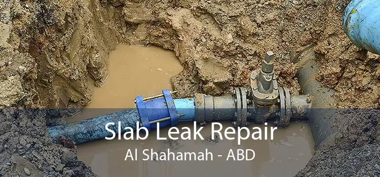 Slab Leak Repair Al Shahamah - ABD