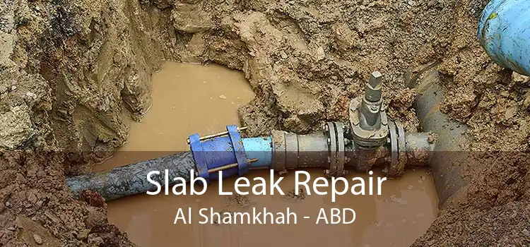 Slab Leak Repair Al Shamkhah - ABD