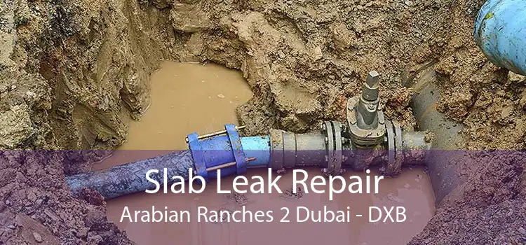 Slab Leak Repair Arabian Ranches 2 Dubai - DXB