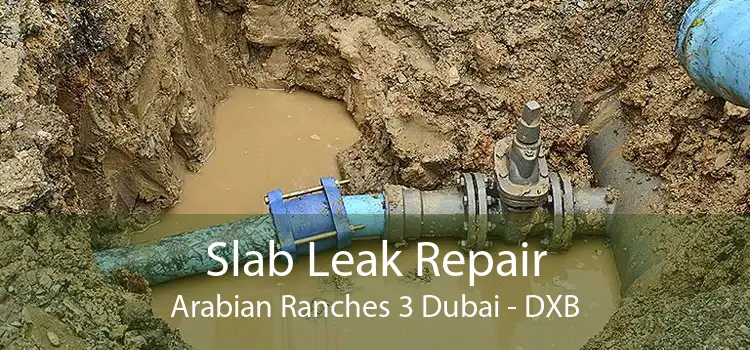 Slab Leak Repair Arabian Ranches 3 Dubai - DXB