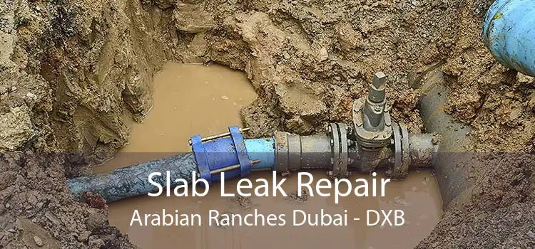 Slab Leak Repair Arabian Ranches Dubai - DXB