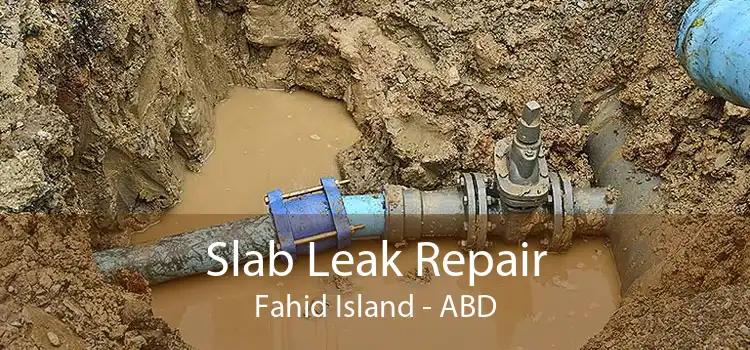 Slab Leak Repair Fahid Island - ABD